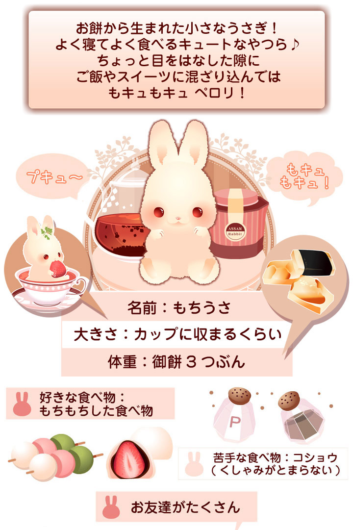 もちうさってなぁに？｜セットアップ∞Lab